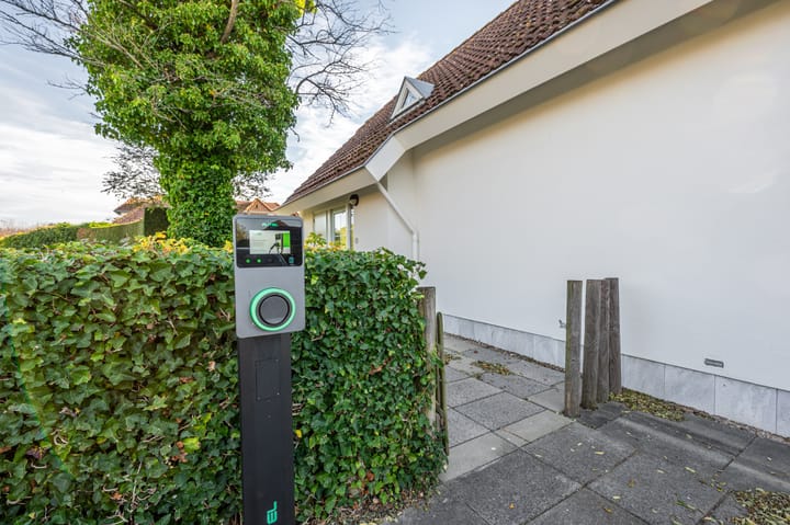 Photo 11 of Branding 17