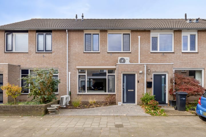 Foto 5 van Oranjetip 12