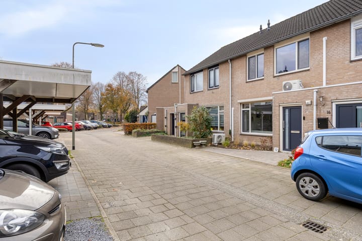 Foto 6 van Oranjetip 12