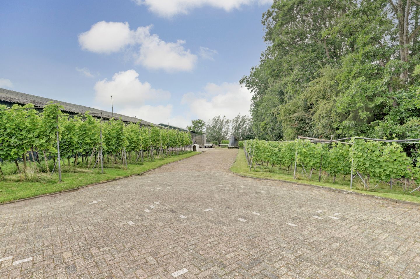 Photo 79 of Bazeldijk 67