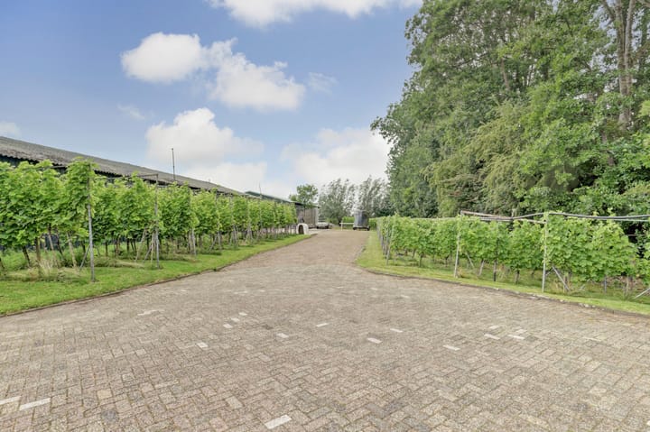 Foto 79 van Bazeldijk 67