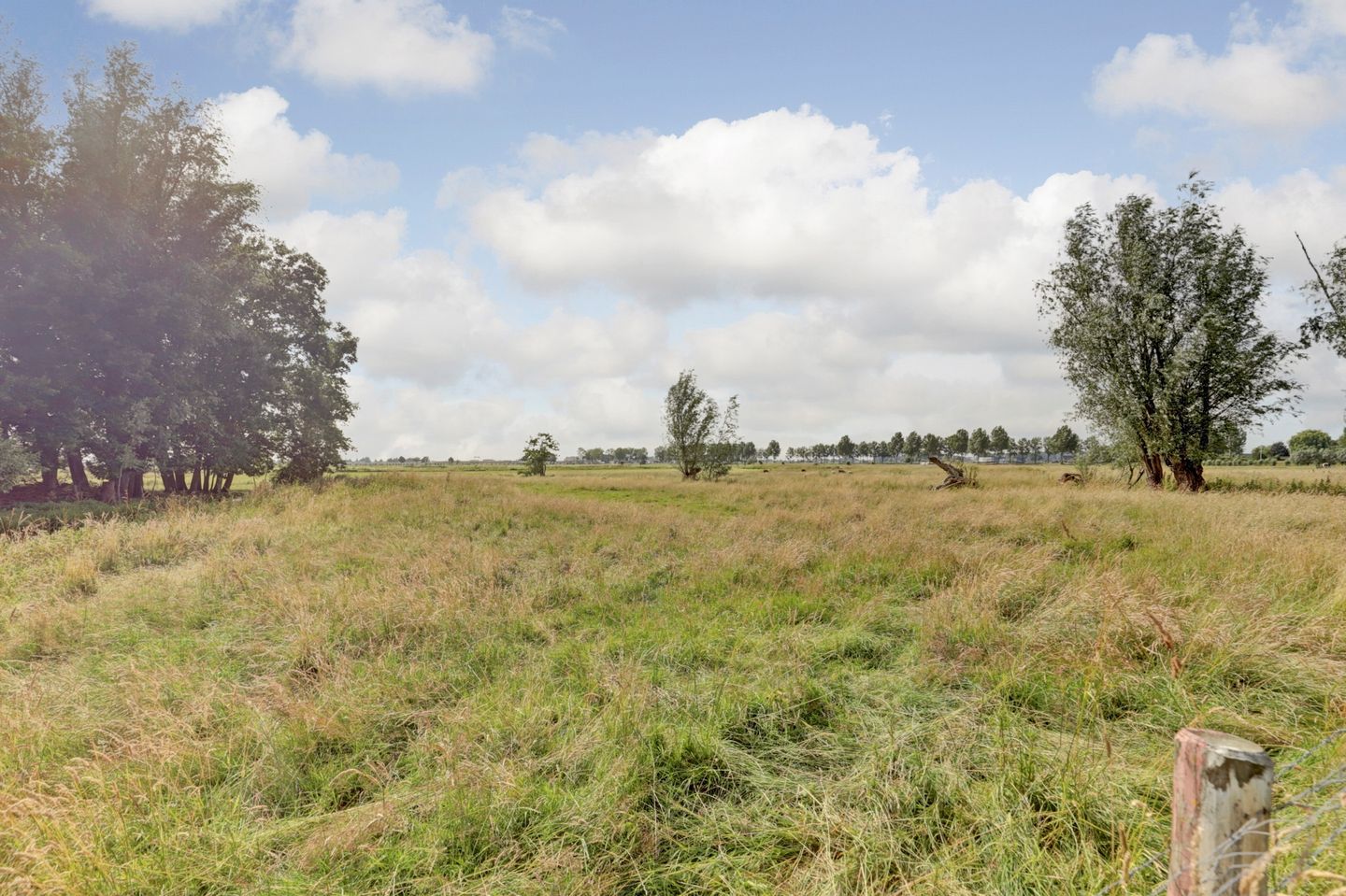 Photo 80 of Bazeldijk 67