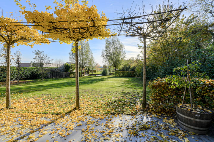 Foto 37 van Lange Broekstraat 25-C