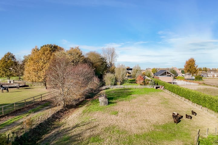 Foto 38 van Lange Broekstraat 25-C