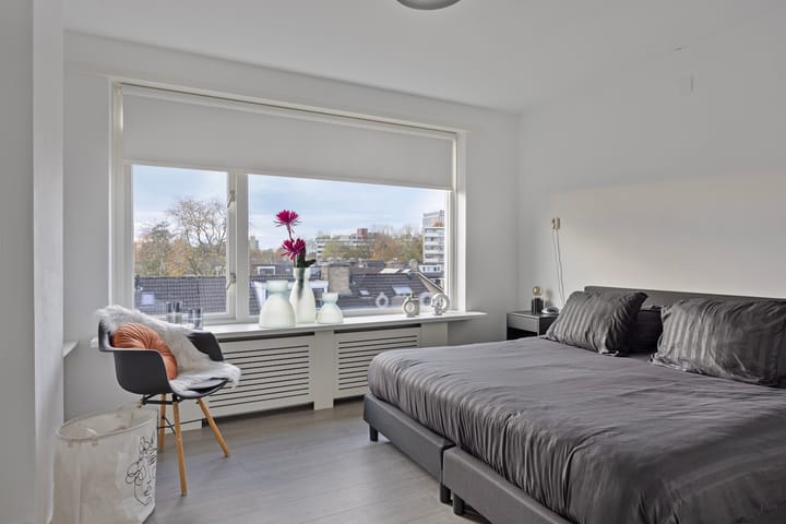 Foto 4 van Plutolaan 148