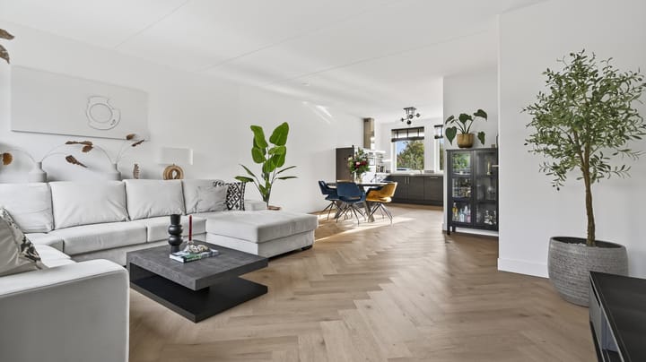 Photo 3 of Springerstraat 40