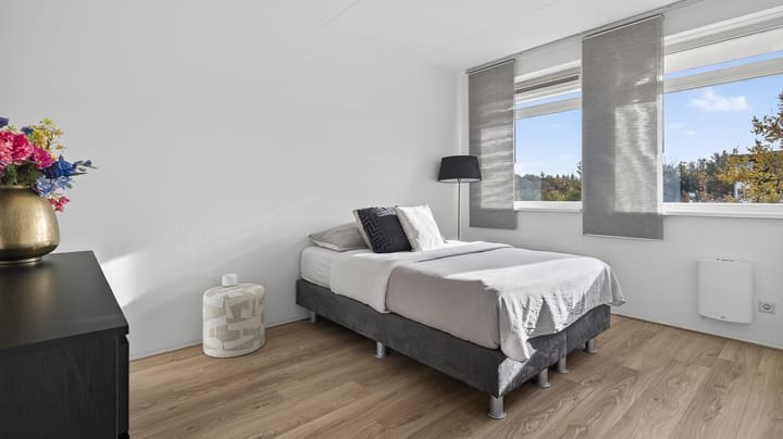 Photo 19 of Springerstraat 40