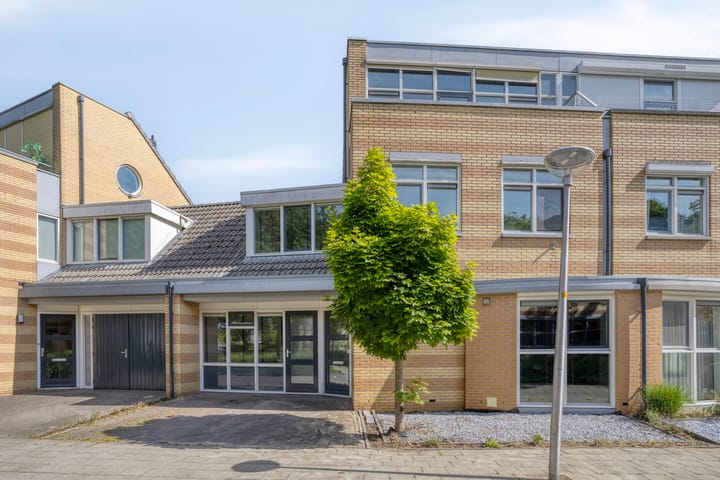 Foto 1 van Ridderspoor 16