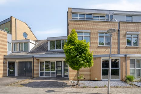 Ridderspoor thumbnail