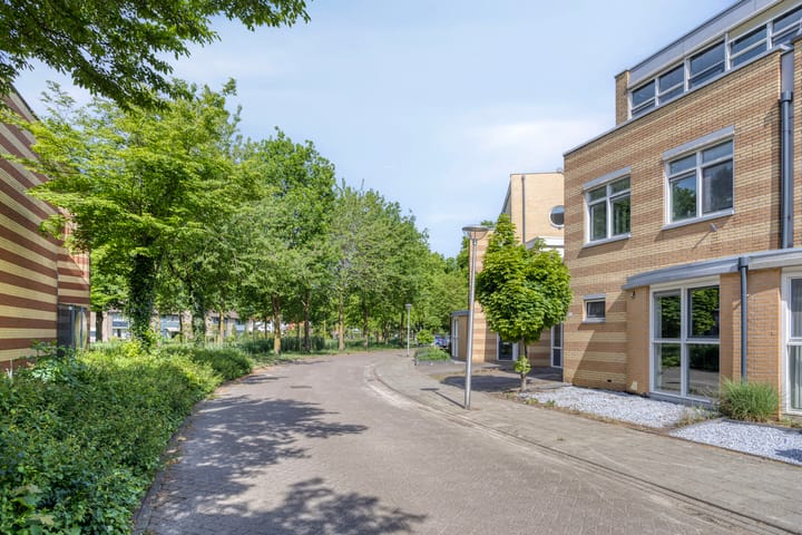 Photo 4 of Ridderspoor 16