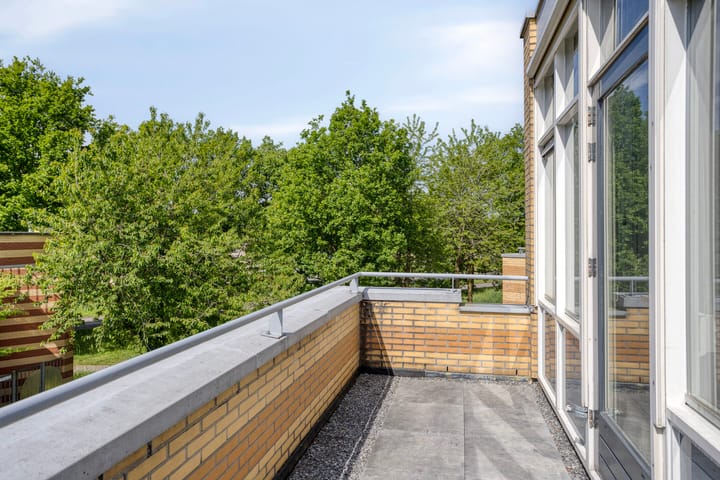 Foto 24 van Ridderspoor 16