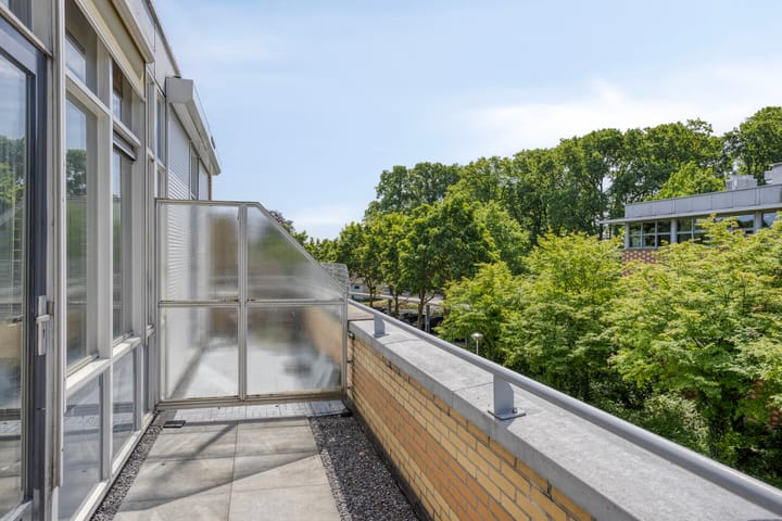 Foto 25 van Ridderspoor 16