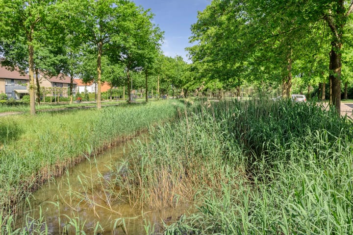 Foto 30 van Ridderspoor 16