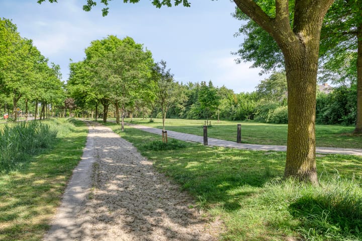 Foto 31 van Ridderspoor 16