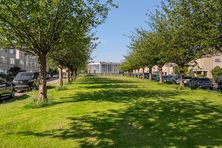 Foto 37 van Bommelerwaard 40