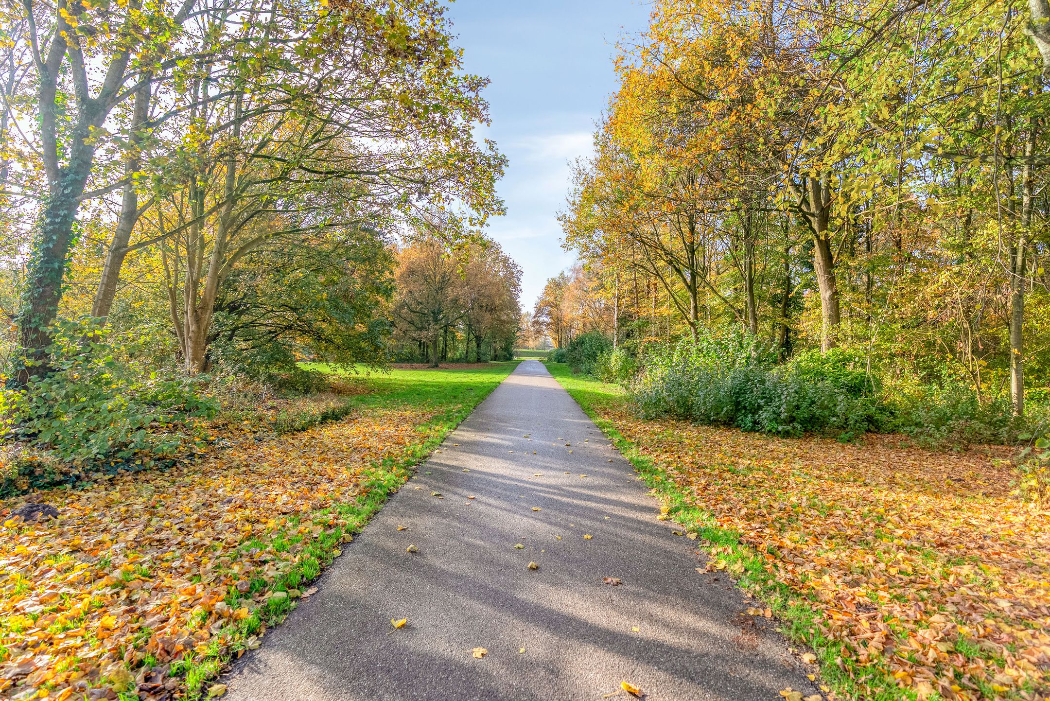 Foto 33 van Fruitweg 17