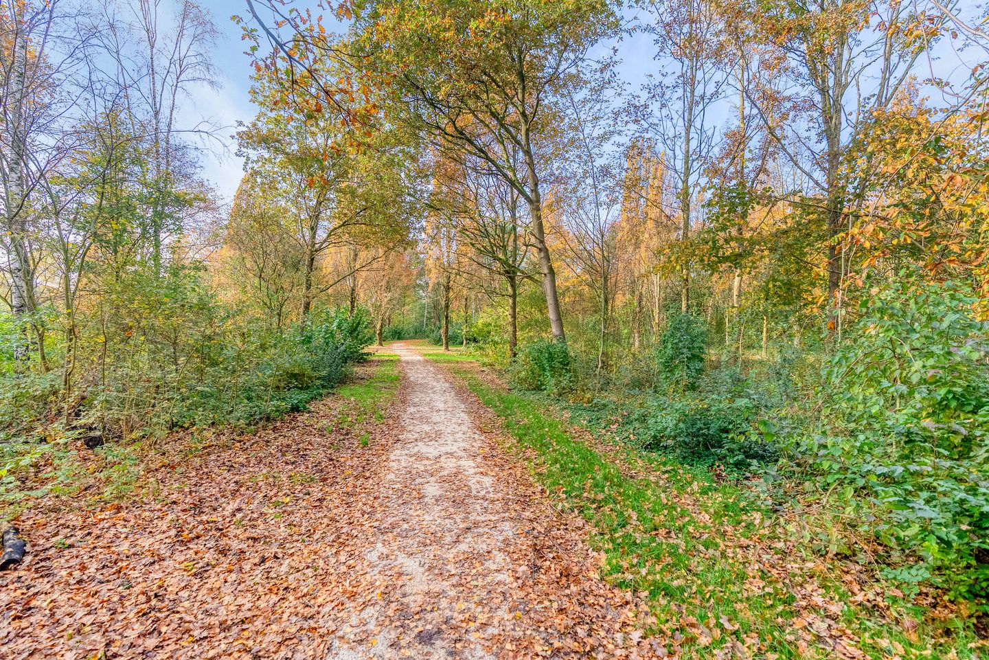 Foto 34 van Fruitweg 17