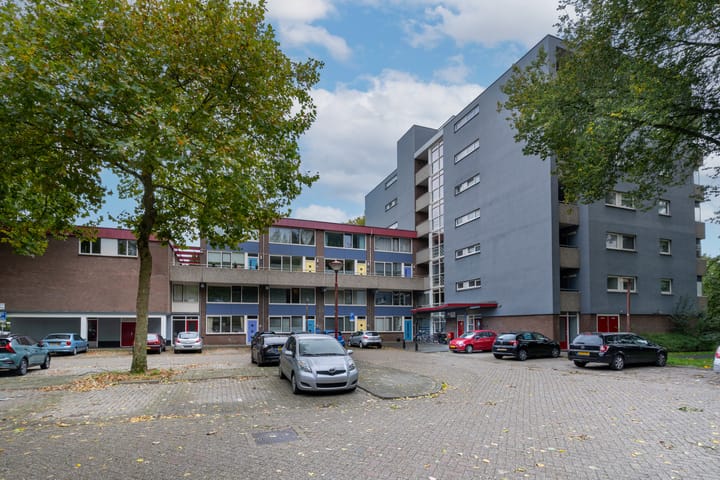 Lijsterbesstraat 204