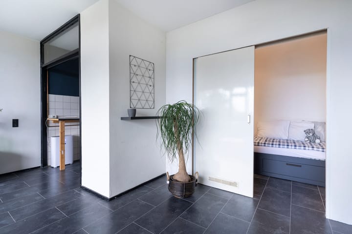 Foto 11 van Lijsterbesstraat 204