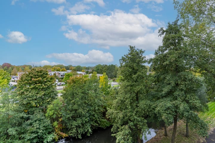 Foto 16 van Lijsterbesstraat 204