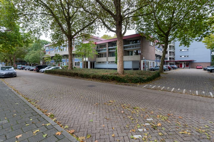 Foto 35 van Lijsterbesstraat 204