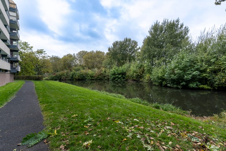 Foto 39 van Lijsterbesstraat 204