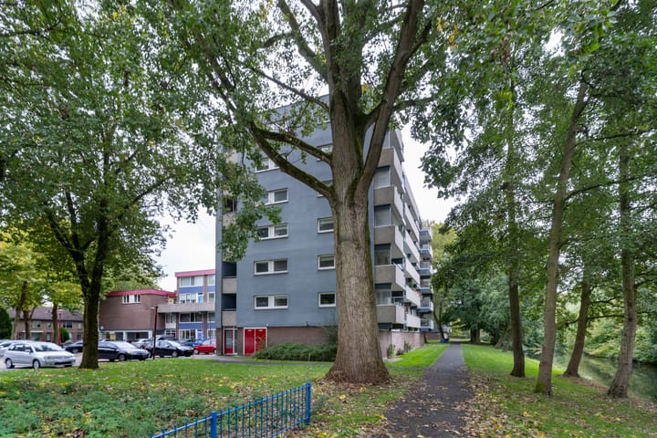 Foto 41 van Lijsterbesstraat 204