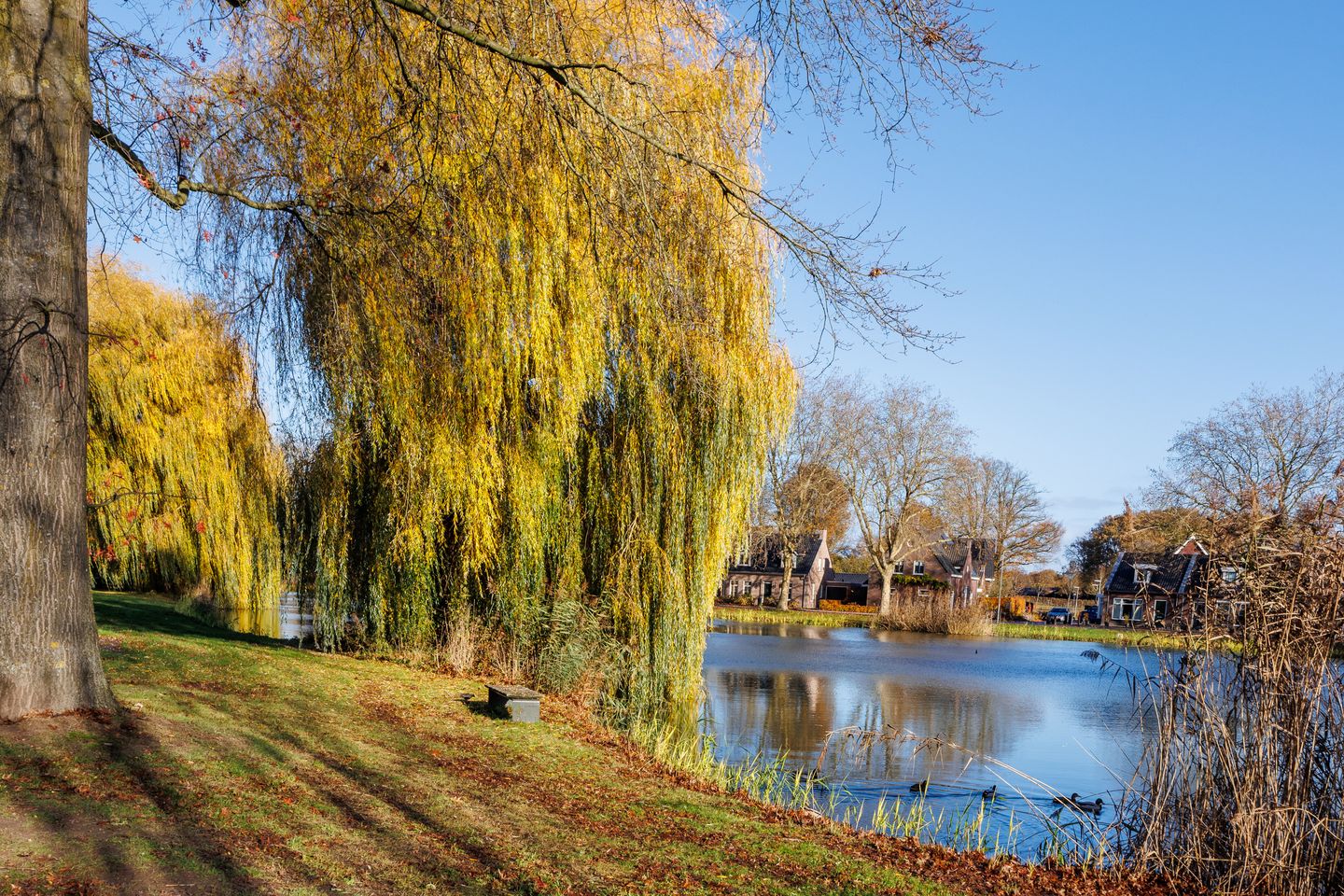 Foto 44 van Julianastraat 25