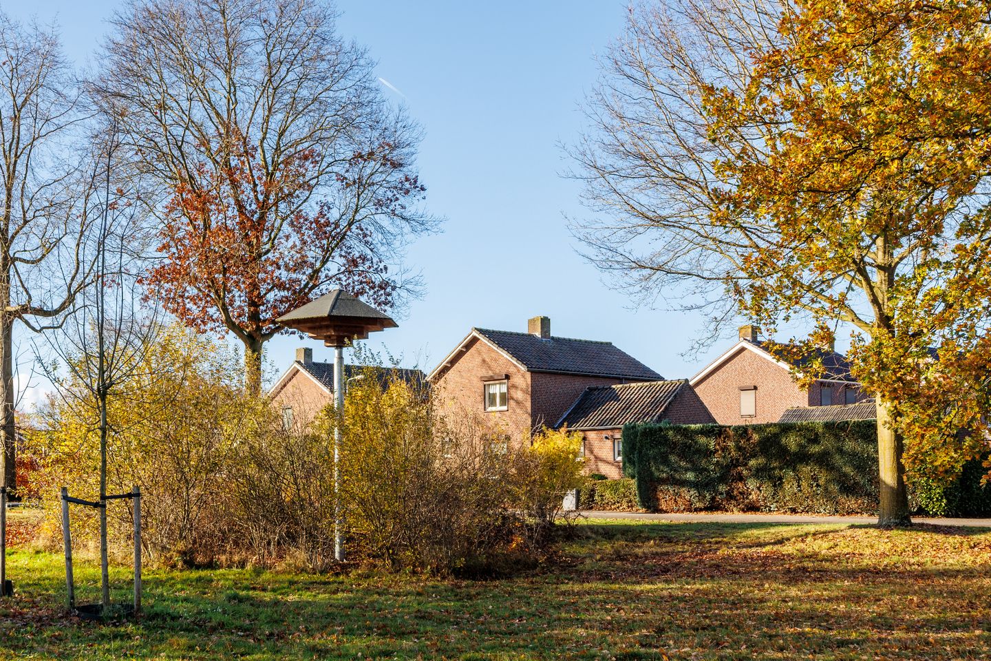 Foto 49 van Julianastraat 25