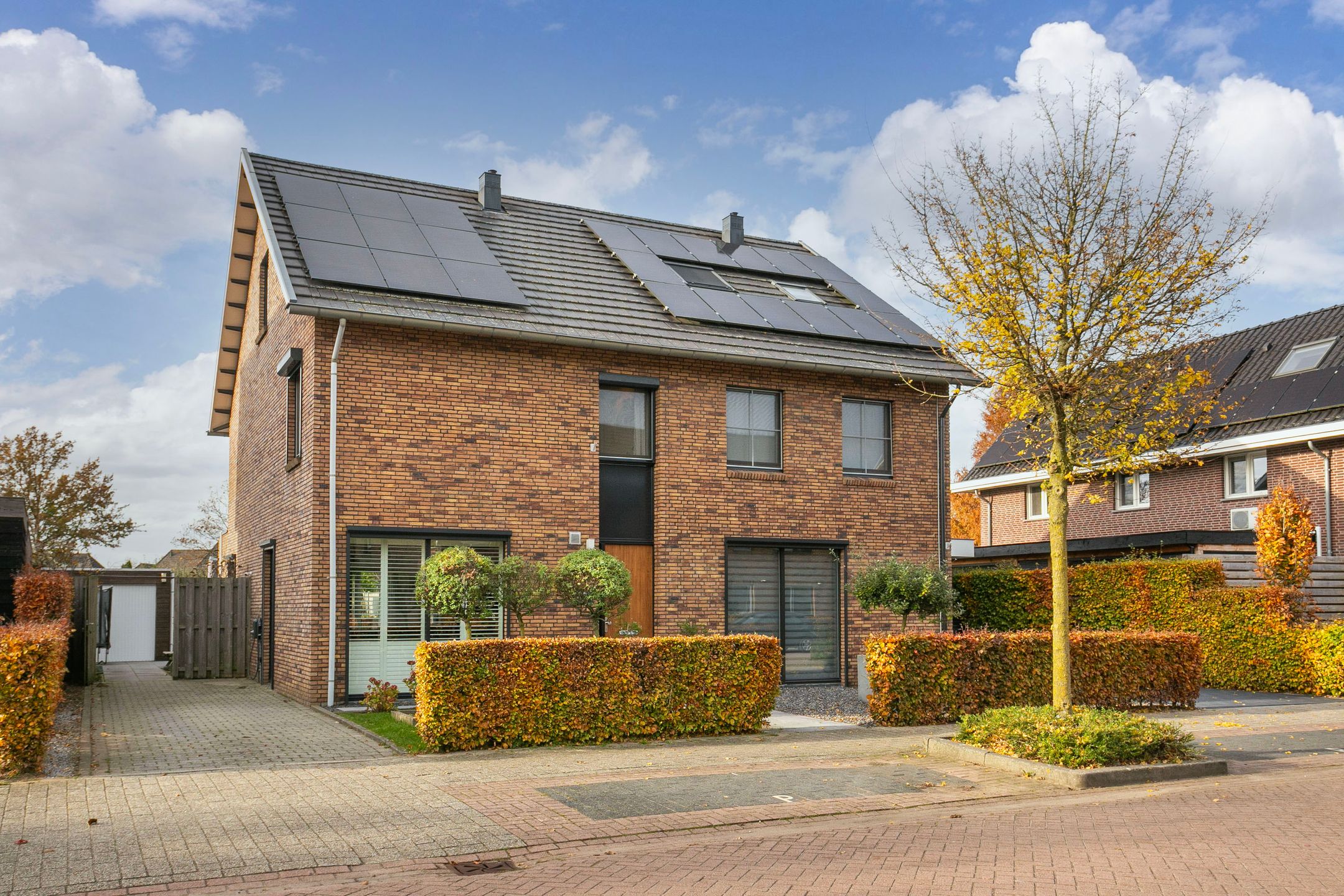 Photo 33 of Black Alicante 116