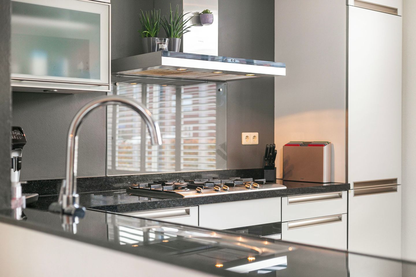 Photo 5 of Black Alicante 116