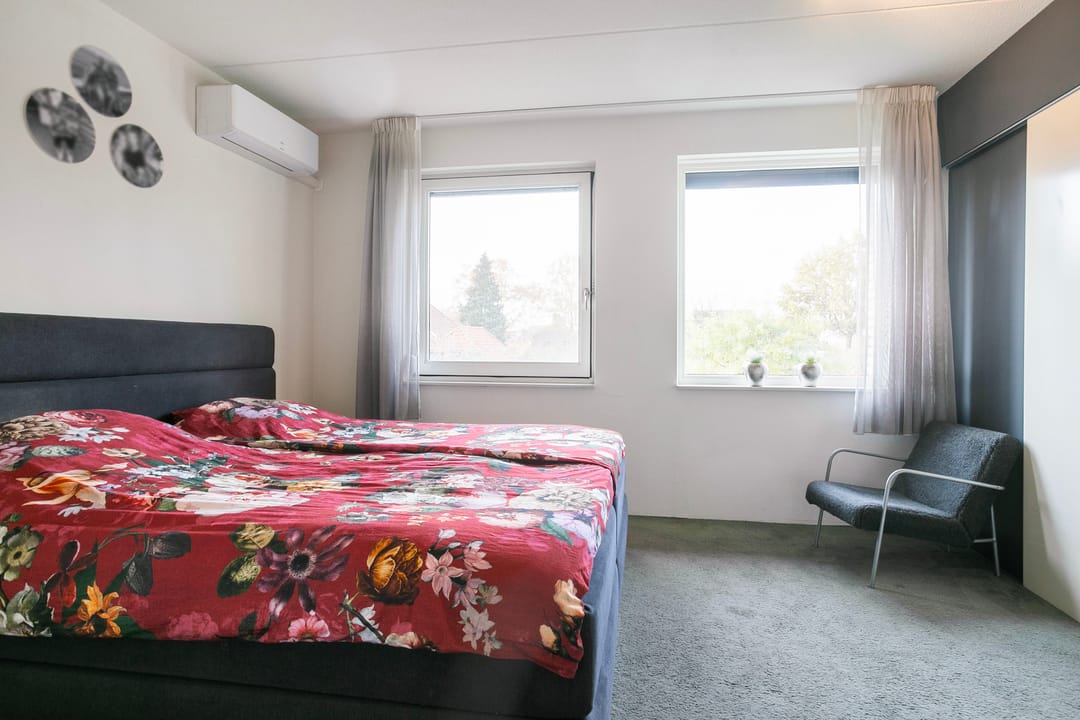 Photo 13 of Black Alicante 116