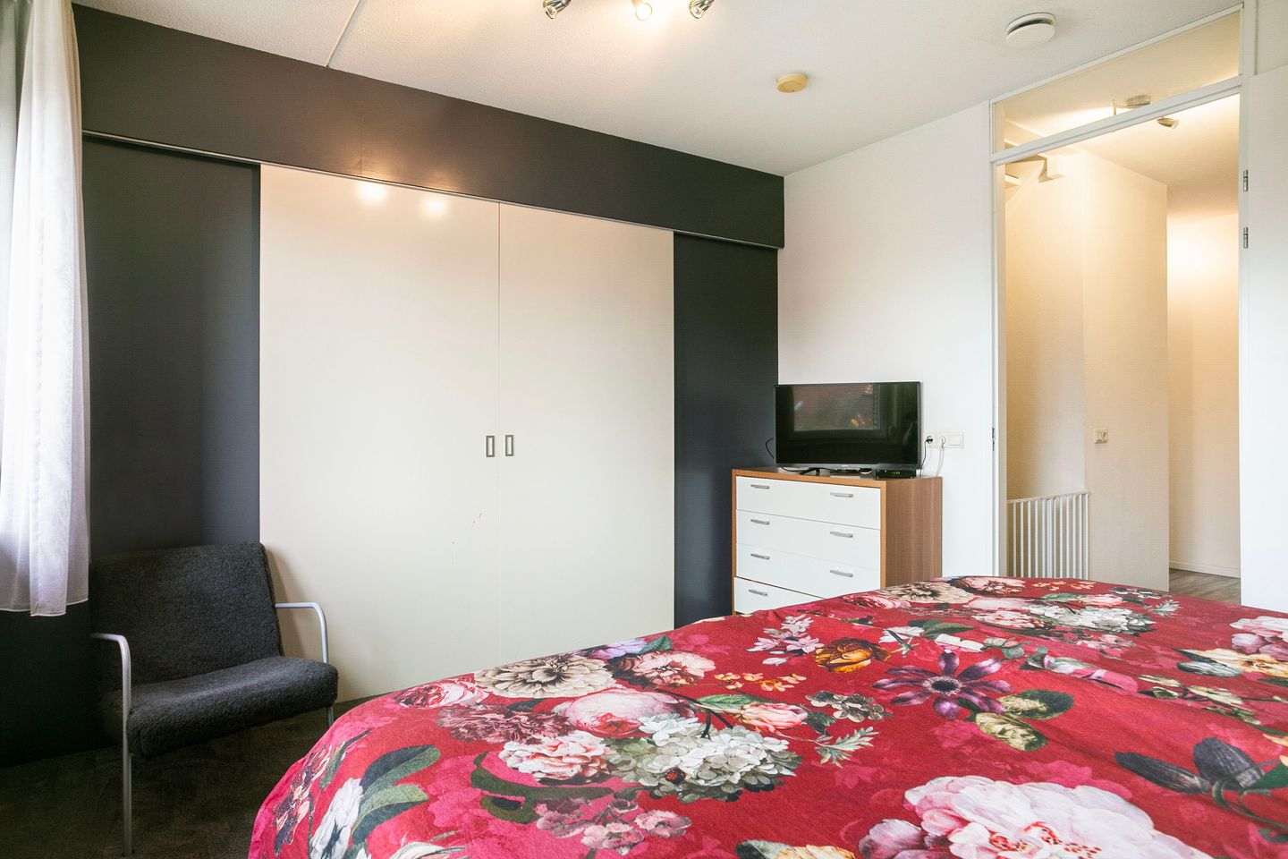 Photo 14 of Black Alicante 116