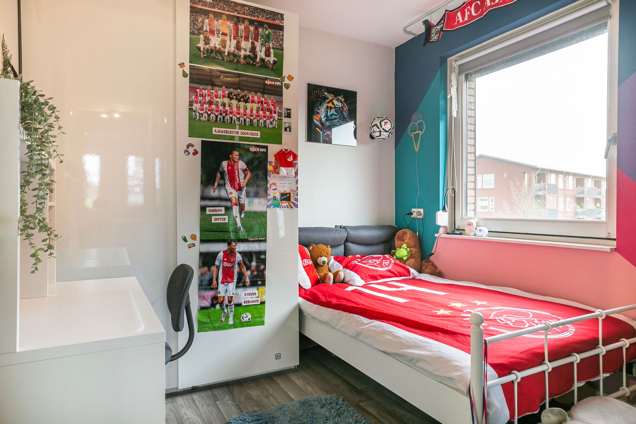 Photo 15 of Black Alicante 116