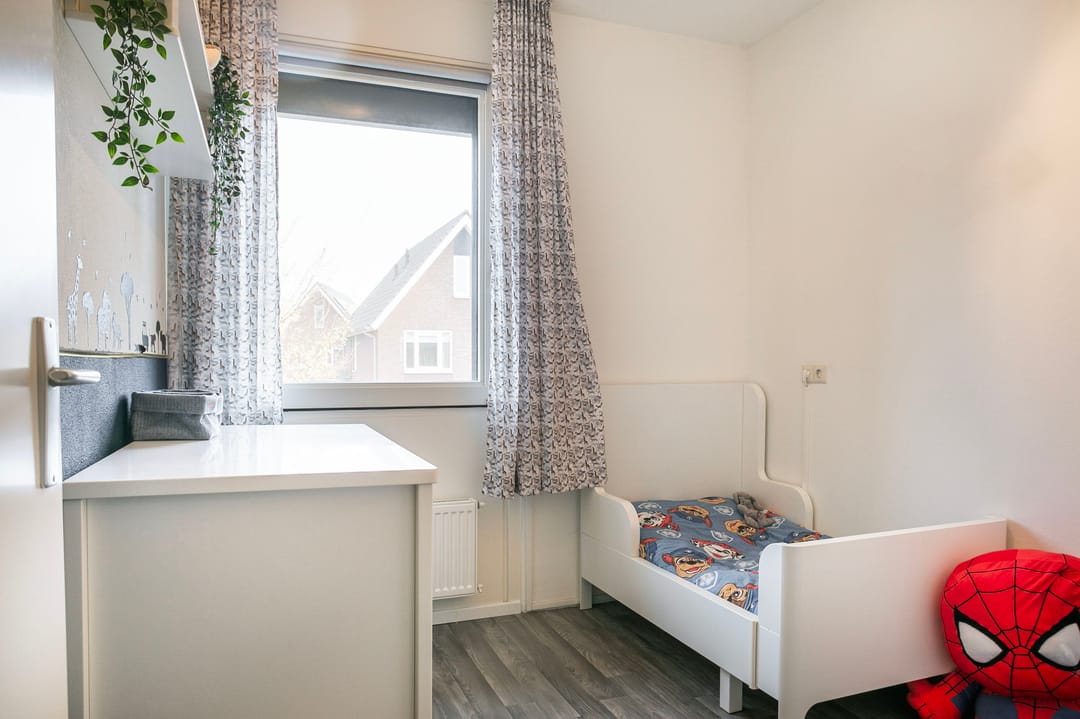 Photo 16 of Black Alicante 116