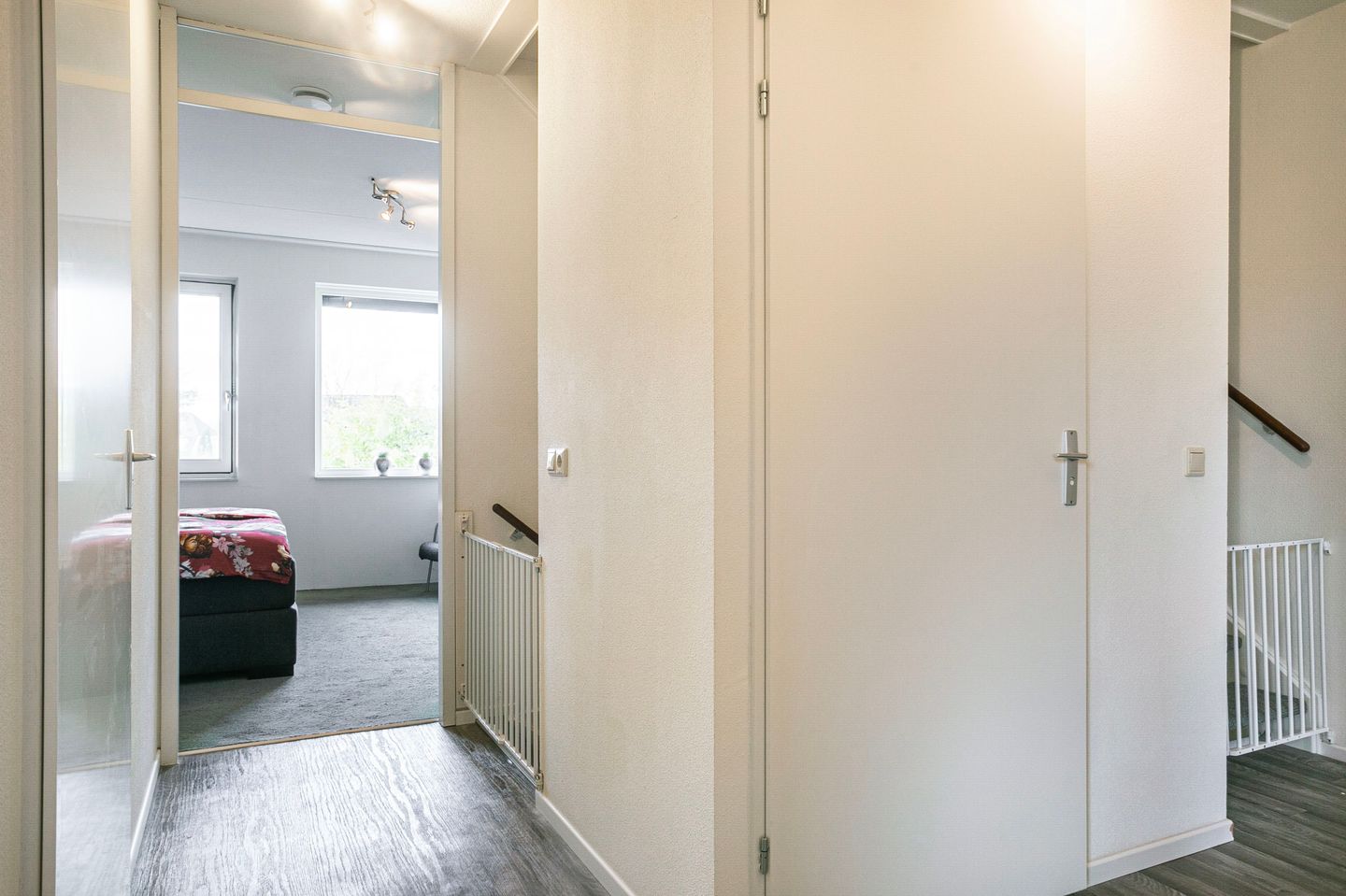 Photo 19 of Black Alicante 116