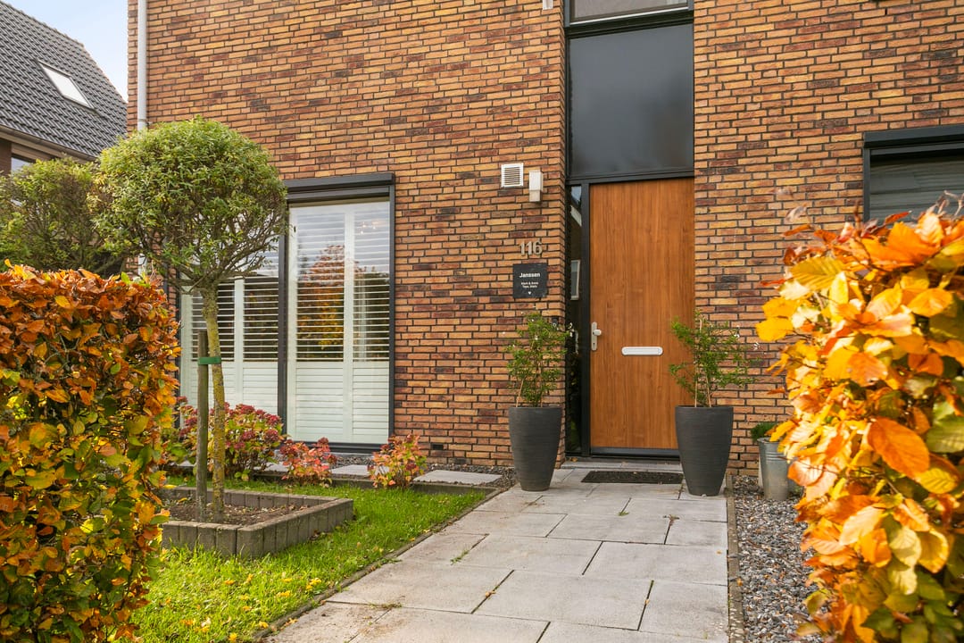 Photo 31 of Black Alicante 116