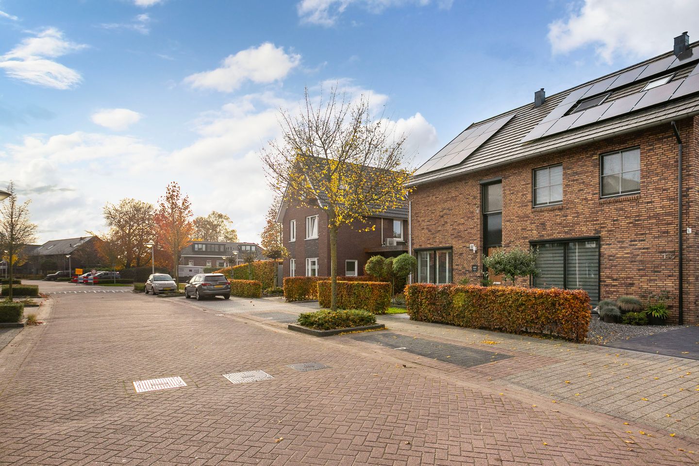 Photo 34 of Black Alicante 116