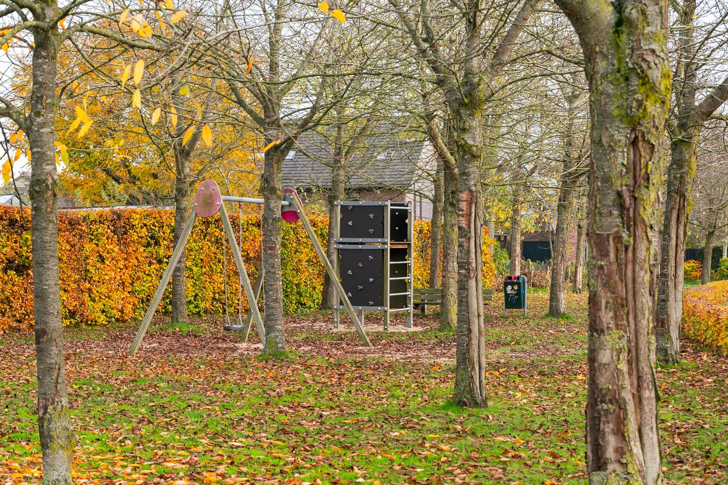 Photo 35 of Black Alicante 116