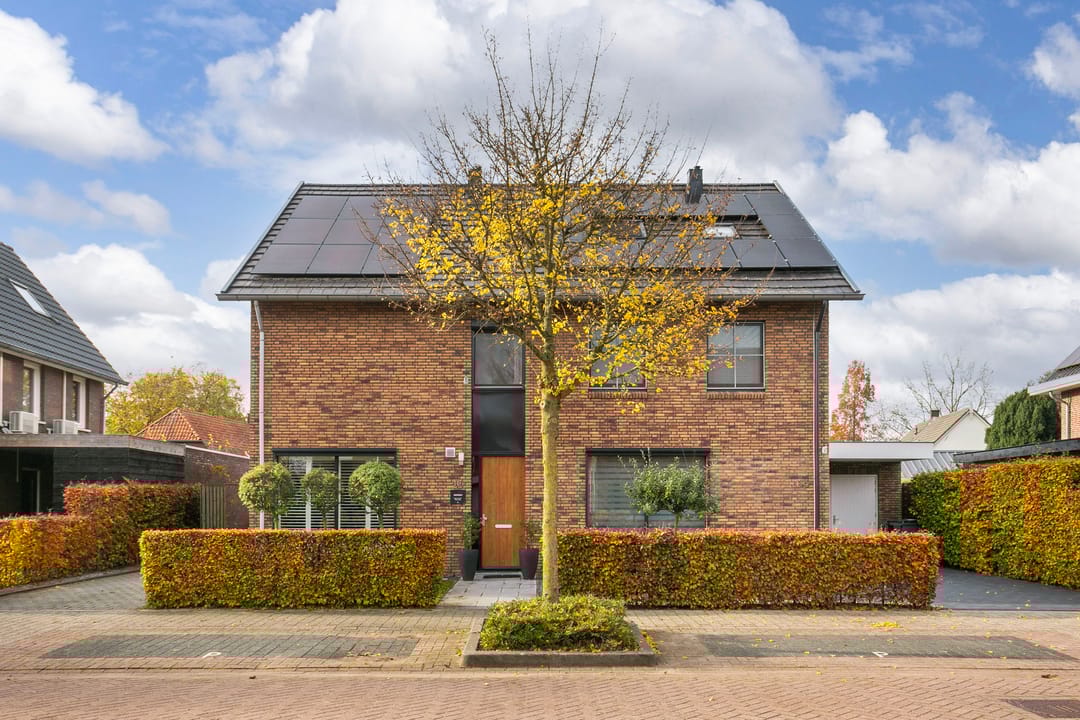 Photo 32 of Black Alicante 116