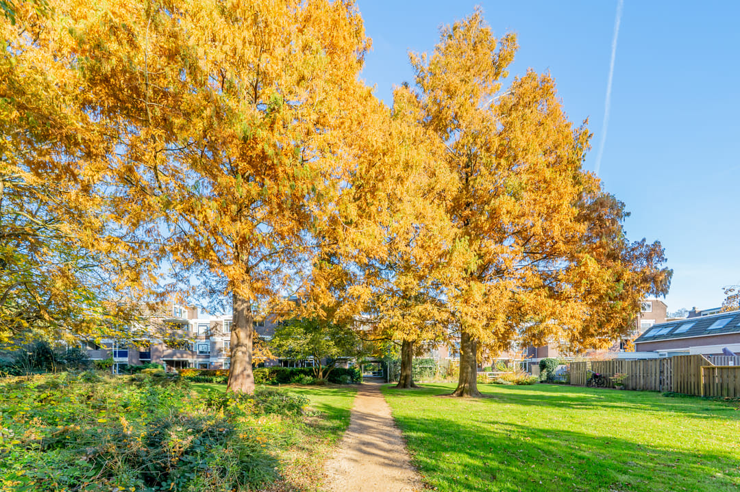 Foto 38 van Vlasdonk 61