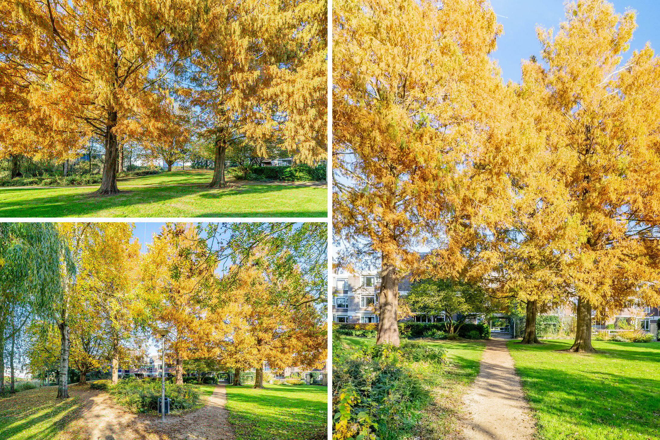 Foto 48 van Vlasdonk 61