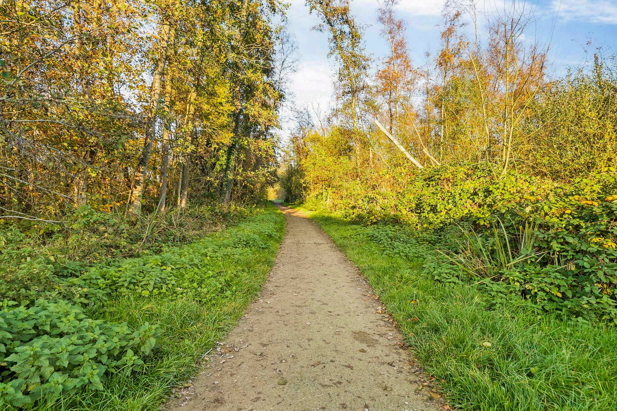 Foto 45 van Noorddammerlaan 65