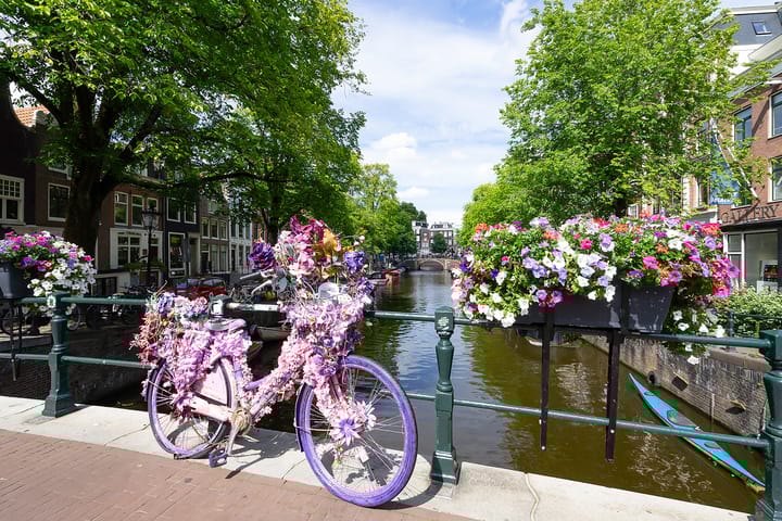 Foto 26 van Tweede Weteringdwarsstraat 44-2