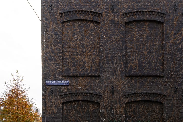 Foto 29 van Tweede Weteringdwarsstraat 44-2