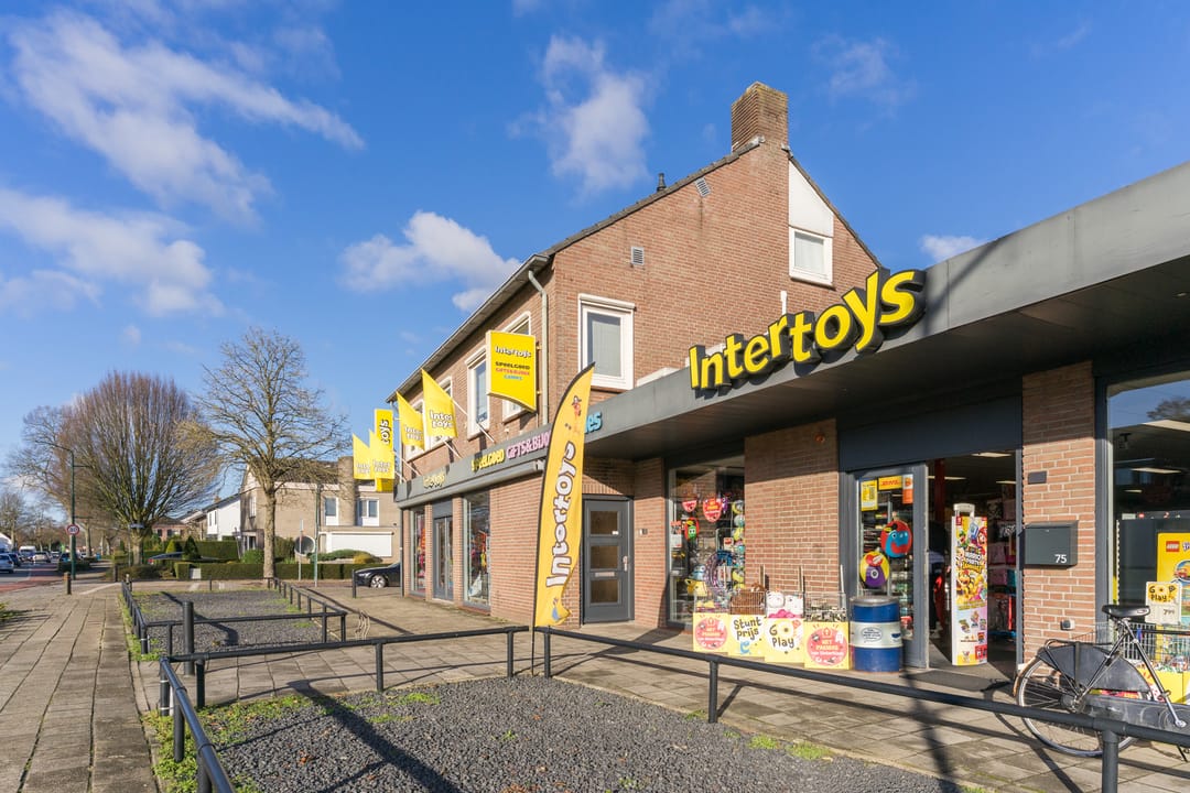 Foto 61 van Roland Larijstraat 5