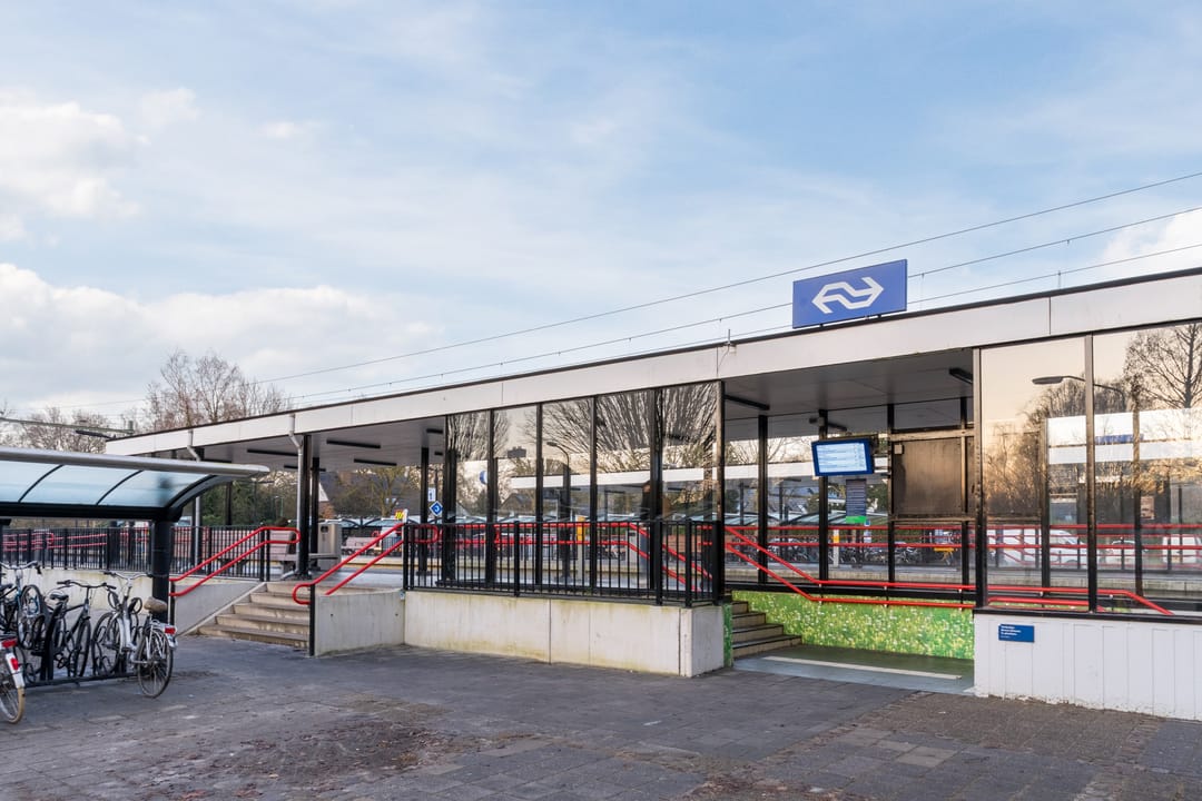 Foto 62 van Roland Larijstraat 5