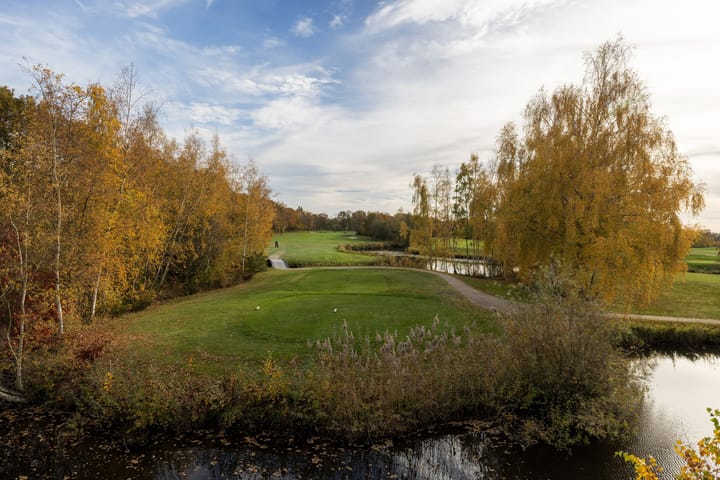 Foto 44 van Patrijslaan 11