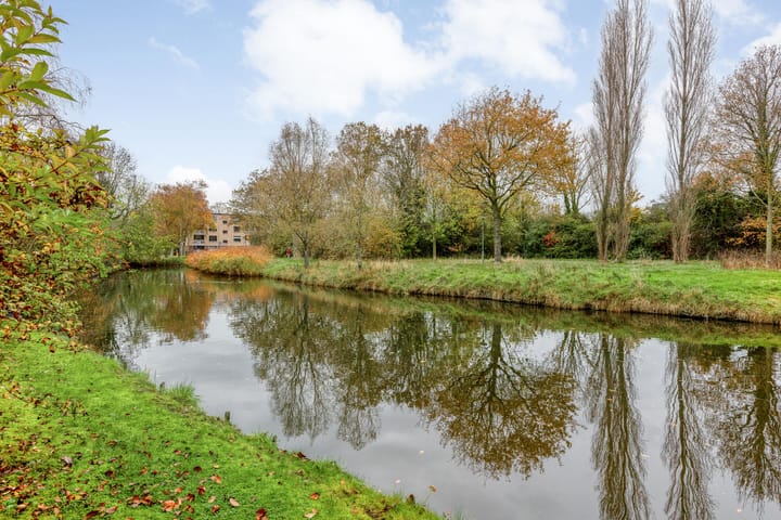 Foto 38 van Johan Wilhem Thibautstraat 11