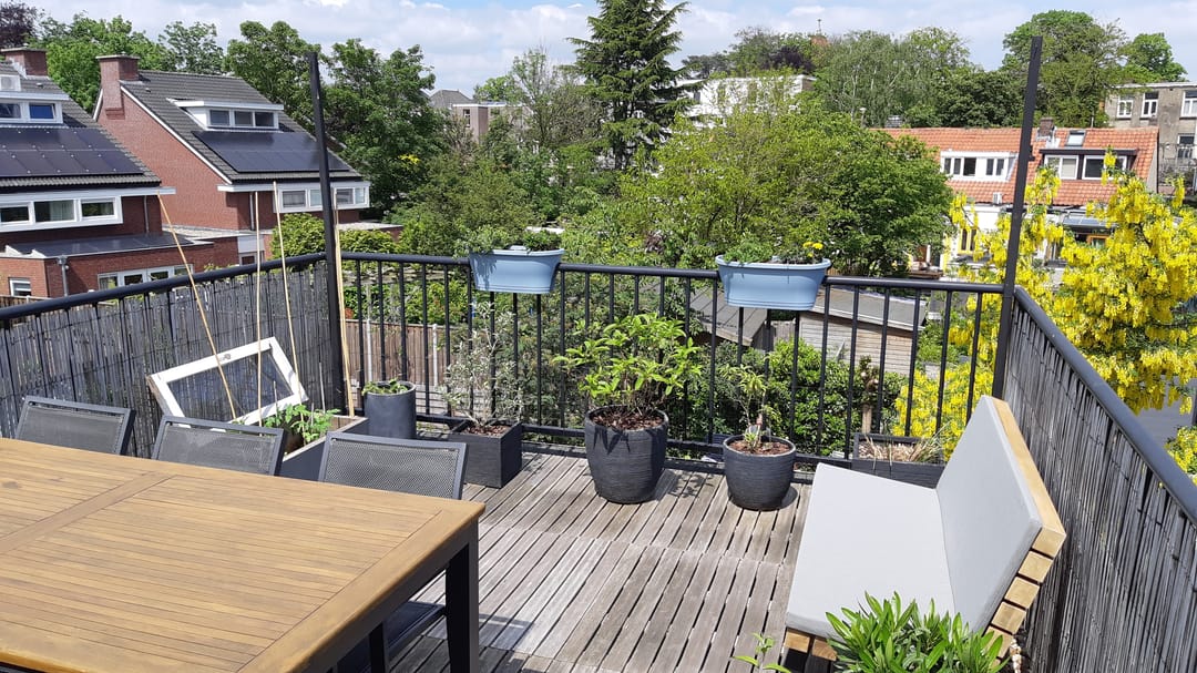 Foto 56 van Tooropstraat 195